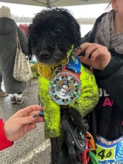 And they’ve done it!!